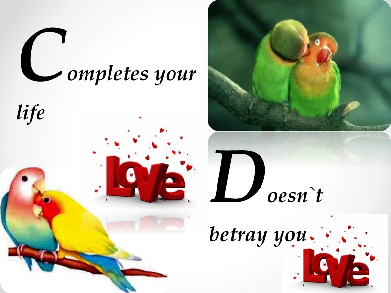 Completes your life  Doesn`t betray you